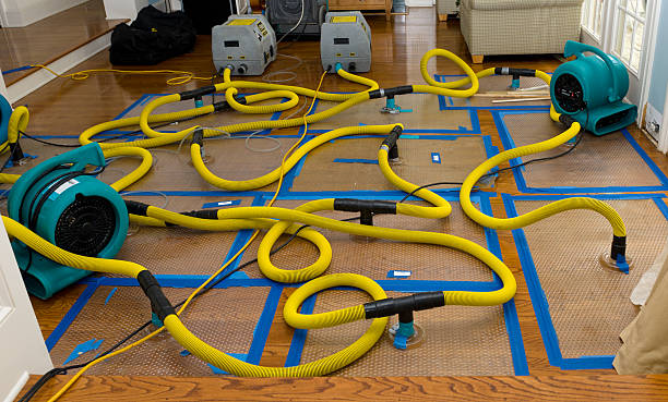 Professional Burst Pipe Water Damage technician working in Glenwood City, WI